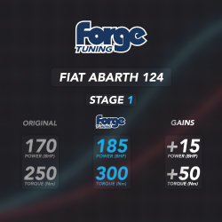Ecu Performance Software for Fiat 124/Abarth 124 - FMREMAP-FIAT124
